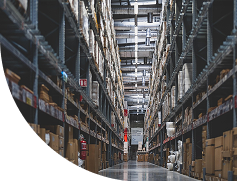 Real-Time Visibility